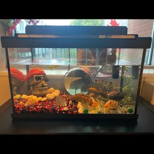 fish tank with accessories not fish